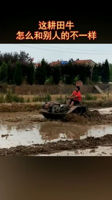 耕田的耕怎么组词