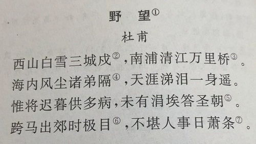 读杜甫的杜甫怎么组词 读杜甫的杜甫怎么组词