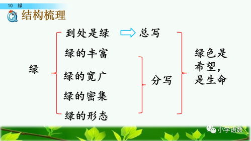 道子的稻稻怎么组词