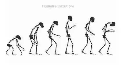 骨骨髓的骨怎么组词