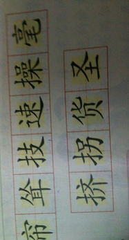 所怎么组词呀