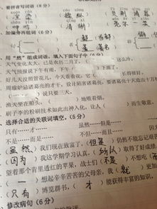 栏怎么组词填空