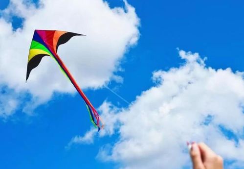 风筝的风怎么组词语