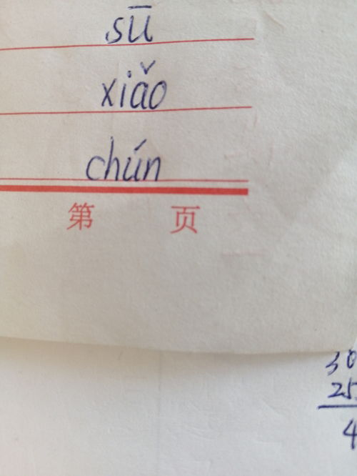 纯拼音是什么怎么组词