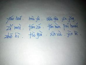 纯拼音是什么怎么组词