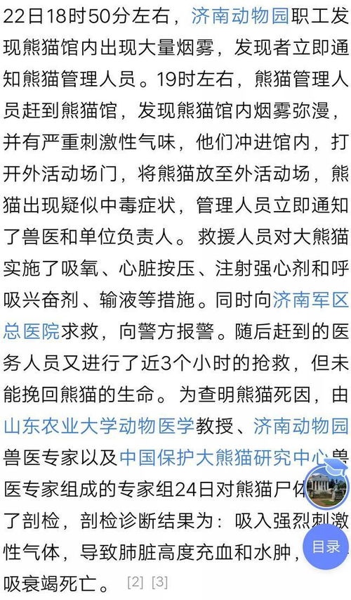 骄傲的后面组词怎么写