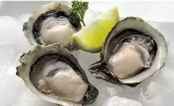 生蚝可以怎么组词