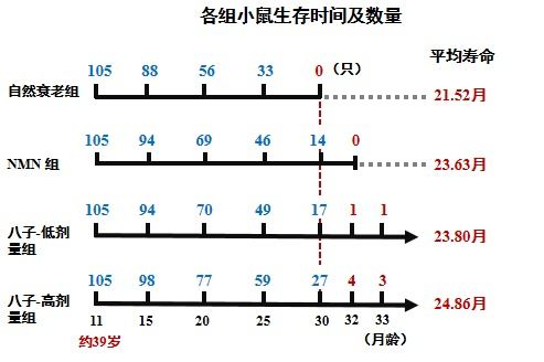 毛现怎么组词