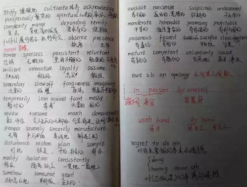 作文的坐怎么组词语