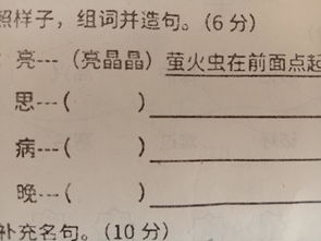 造怎么组词句