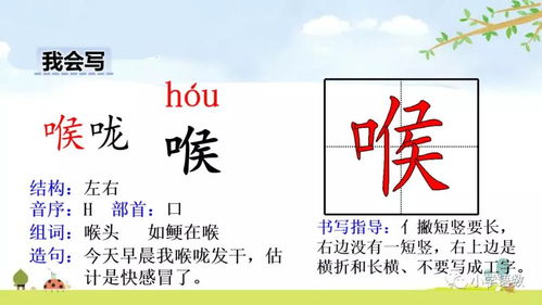 燃烧的烧还可以怎么组词