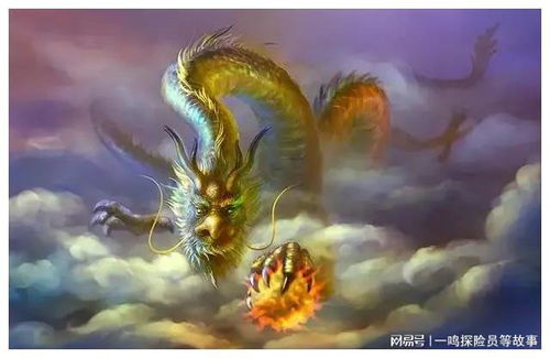 和龙的龙可以怎么组词