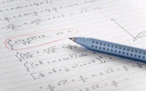 外怎么组词语 外怎么组词语