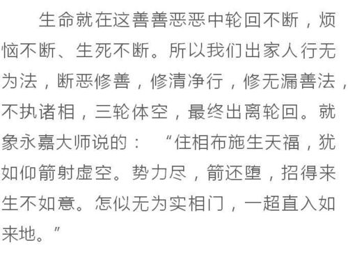 卜罗卜罗卜卜怎么组词