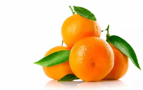 橙橙橙子怎么组词