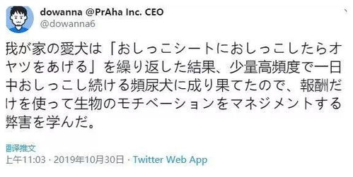 眼睛的目木木怎么组词