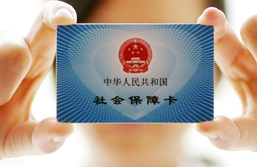 社保怎么组词