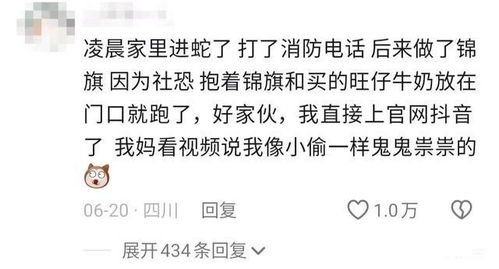 福仿佛的服怎么组词