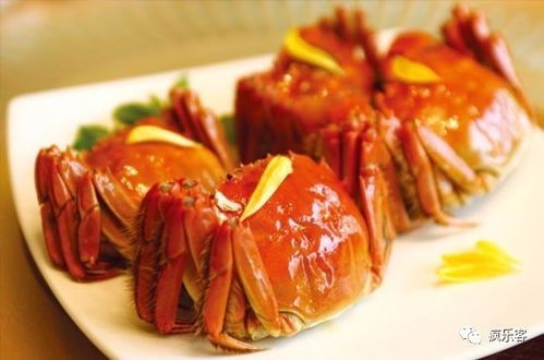 蟹怎么组词语 蟹怎么组词语