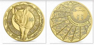 小猪的珠子怎么组词