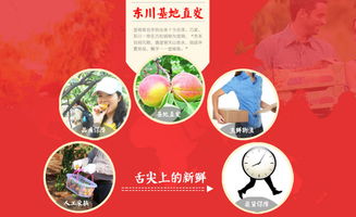 五谷丰怎么组词