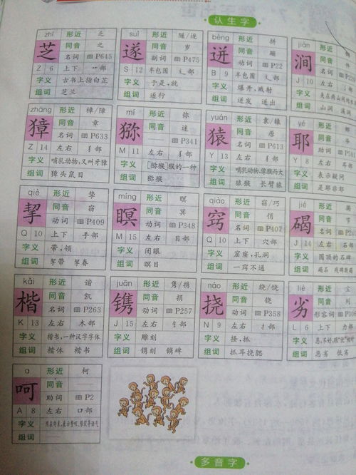 生字怎么组词和拼音