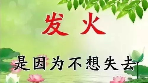 夜宿的叶怎么组词