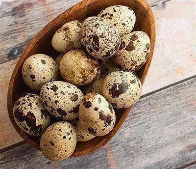 鹌鹑蛋可以怎么组词