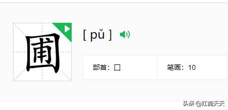 圃怎么拼音组词