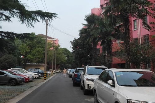 春怎么组词村