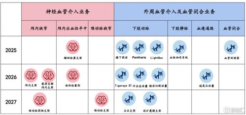 龙头的笼怎么组词