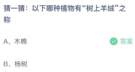 羊怎么组词杨树的呀