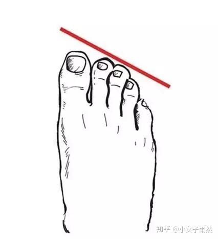 脚趾的脚组词该怎么写