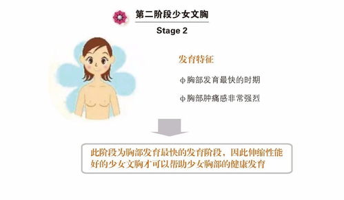 女人的胸怎么组词