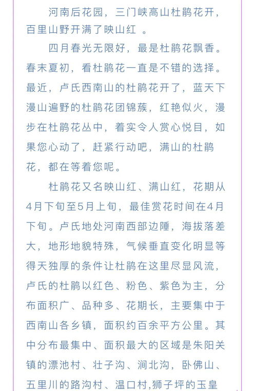 杜鹃的鹃然怎么组词