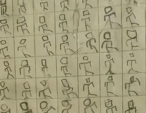 竹字头那个罗怎么组词