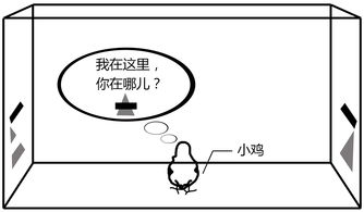 小鸡可以怎么组词呢 小鸡可以怎么组词呢