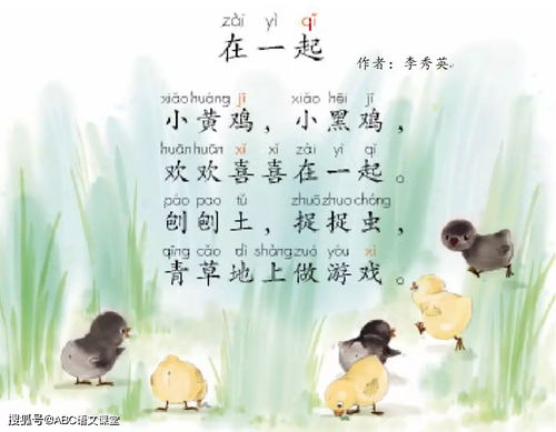 小鸡可以怎么组词呢 小鸡可以怎么组词呢