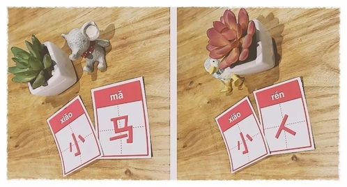 用慢怎么组词
