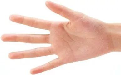 手掌的长还可以怎么组词 手掌的长还可以怎么组词