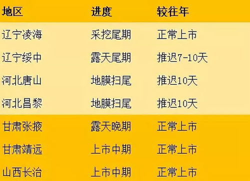 土豆子怎么组词 土豆子怎么组词