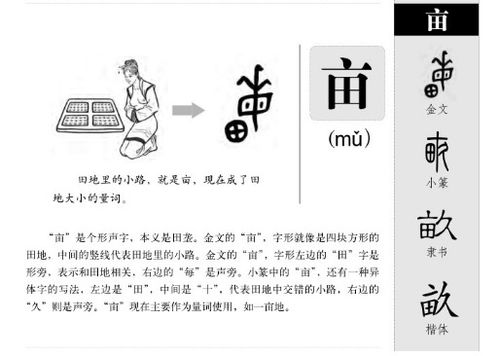 积的怎么组词