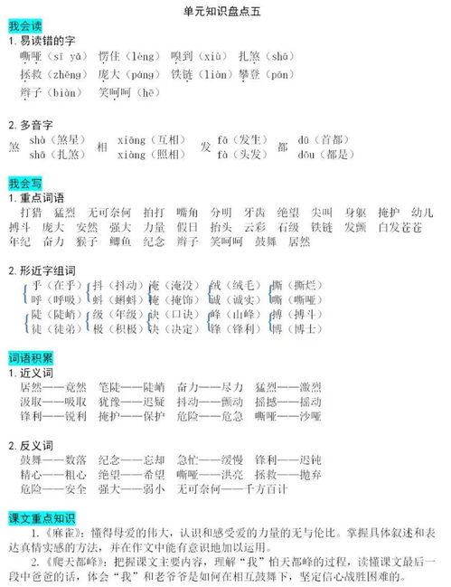 八百除以四可以怎么组词