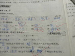 和谐的和禾怎么组词