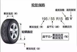 车轮的轮怎么组词