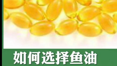 鱼油怎么组词
