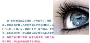 五官的状怎么组词