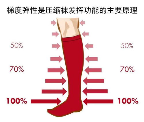 袜子袜子的袜怎么组词