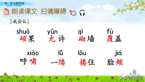 花怎么写怎么组词 花怎么写怎么组词