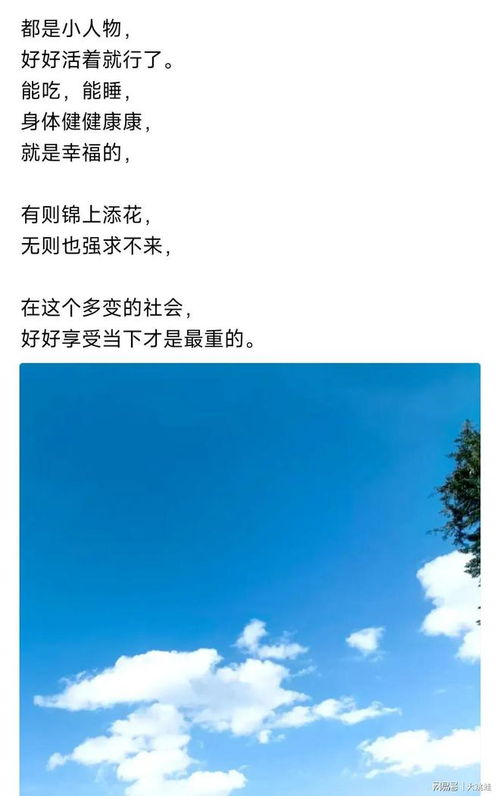 我要看励志的丽怎么组词